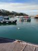 IMG_20190908_133953.thumb.jpg.3d00ca791d2f3de18af540f4fb521abc.jpg