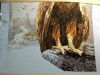 IMG_20190911_191627.jpg