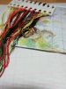 IMG_20190912_201742.thumb.jpg.4e28b4607d5123c7ba9f8f2d9dae69ad.jpg