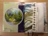 IMG_20190919_223424.thumb.jpg.a7689109b8a658fd02e5504ca79118db.jpg