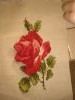 IMG_20190928_161928.thumb.jpg.bb0b382dd4d57bcaed510c866021b997.jpg?1569699761750