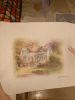 IMG_20190928_162036.thumb.jpg.41b498142773ffbbb06ab433b8e0f500.jpg