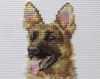 IMG_5410.thumb.jpg.9680afe688ca094419fcbd74fe9a93ff.jpg