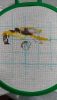 P_20190905_215311_vHDR_Auto.thumb.jpg.ee74563f474f537b87d8311a17bf547b.jpg