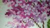 P_20190913_171923.thumb.jpg.ba0a6f03addf00454be324fae2a4620c.jpg