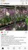 Screenshot_2019-09-01-12-49-06-593_com.instagram.android.thumb.png.2e14ee6ecec52fecd693350e6e7d3f0d.png