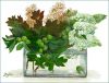 sakuhin_06.thumb.jpg.635470fedf292d009761e05d5aa566e4.jpg
