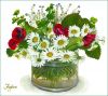 sakuhin_08.thumb.jpg.d06f62a1ec722ef55a87008943928672.jpg