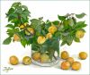 sakuhin_10.thumb.jpg.b7fe16ec5e0035b964e288afc788a21d.jpg