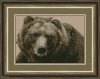 0.thumb.png.204a9164b479ce9456d15f6679f196ef.png