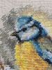 10.thumb.jpg.95910ec2a4dbdaa6c6ed7054ad3e2bf4.jpg