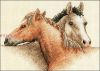 1022.thumb.jpg.b815f095fbee8d25f19e55c50ce75c9c.jpg