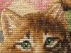 106.thumb.jpeg.cc5a4e3fa2228174bec579d850e53f7a.jpeg