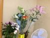 1190563533_.thumb.JPG.2e811c2cdf64bbd21eafadea6edb7ca2.JPG