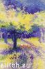 Derwentwater WCL, Лиловый фруктовый сад (Lavender Orchard)