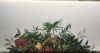 15E5E7F0-2490-41CE-9602-A349AB4D46EA.thumb.jpeg.f259cd372990dd614ad058cf1b989e6f.jpeg