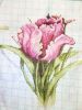2.thumb.JPG.d915aa06a7ff13f2d589e90c9b7fc5b7.JPG