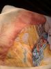 20180927_165101.thumb.jpg.3b89370a6eb297c1cfeeb445c72ed22e.jpg