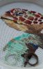 20190311_172400.thumb.jpg.47a287eb71ebb94a52ba9d0c29be2cff.jpg