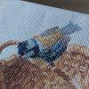 20190809_125648.thumb.jpg.531e24208b4251a081e56898edca9492.jpg