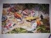 20190922_211841.thumb.jpg.7636baf09345edf5afa7c53f0e52be7d.jpg?1569941043782