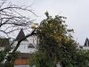20190923_113813.thumb.jpg.fcc1bcf4b92033fc9ce58b18affd2e43.jpg