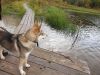 20190924_145643.thumb.jpg.5c57fcd2d82a773a96f2a4f89ca2114c.jpg
