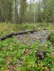 20190924_151109.thumb.jpg.9c19839d6ac6fe0f48fd7590bc9e8ca2.jpg