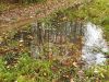 20190924_153108.thumb.jpg.bc7d4ab16f8ddb8918431ba9ea662a27.jpg