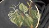 20190924_183312.thumb.jpg.ade1109e351c68418c2923a878704476.jpg