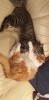 20190928_181625.jpg