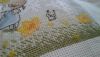 20191003_143136.thumb.jpg.6ce881d459800eac04b367a885dfe604.jpg