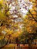 20191004_163309.thumb.jpg.faca92cdba3f7ed4fd91023820bec260.jpg