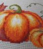 20191014_120617.thumb.jpg.9004b7648d39ede558fb499d78cc2042.jpg