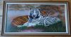 26651197_.thumb.jpg.f04cdc80ca880f77158b8b48d9bbcc22.jpg