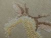 3.thumb.jpg.a6473a5f09f3c6861ba20a8eee2e89dc.jpg