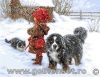 Goblenset 994, The joy of winter