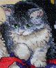 4.thumb.jpg.2cd2cff55af2b6c41823b837cd5b0a72.jpg