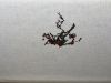 4B295D98-A23C-4FF2-971F-67947ECD31C4.thumb.jpeg.2f55e142cdeac5c5c940b93e7785ad9e.jpeg