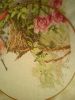 5.thumb.jpg.4d970a4cf4d7b2659940d109bed52653.jpg