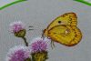 7.thumb.jpg.7cb75593b6a79ad4c9b5504e2844b600.jpg