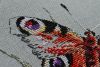 7.thumb.jpg.b82e712d9c2bff08e122b5f994fbc502.jpg