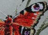 8.thumb.jpg.e8616b13480497b5b0f63f7450763020.jpg