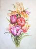 9.thumb.jpg.91cf189ff1891a769eeb77535838f542.jpg
