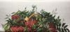 92FF2001-31CA-4534-8077-8F9F2D57CEE8.thumb.jpeg.08affd7403a63b375beae442b9b68aff.jpeg