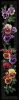 9863.thumb.jpg.93a830ebfd69b0e65eaf4e2e912b8de8.jpg