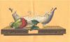 997432299_fruitMarch-1.thumb.jpg.ca93a6966c4966f4b3b4ce053f6dc527.jpg