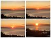 D3DBACE0-5404-4ED7-B1D7-2505D0804537.thumb.jpeg.a89cc963e1ec62f08d7623bd90d65a09.jpeg