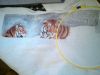 DSC00944.thumb.JPG.2858abe0a28a6e3c6655e35f5637a5dd.JPG