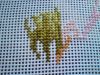 DSC01033.thumb.JPG.5e245b406b1dfd5a21212f35995a31b9.JPG